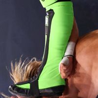 Rated FTR: Green