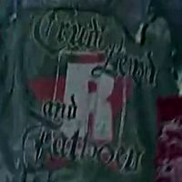 New Patches: Role Model