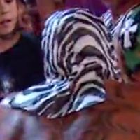 Pants, Skull: Zebra