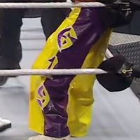 Pants, Skull: Split Purple & Yellow