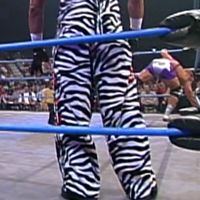 Overalls: Zebra