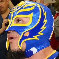 Mask: Golden State Warriors