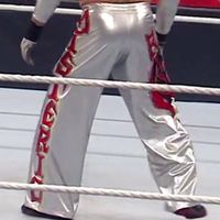 Pants, Chevrons: Silver w/ Red