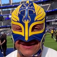 Mask: Los Angeles Rams
