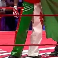 Pants, Lucha: Split Green & White