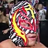 Mask: Zebra