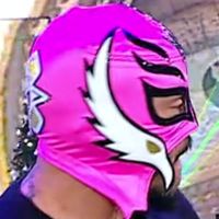 Tights, Falcons: Pink