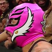 Tights, Falcons: Pink