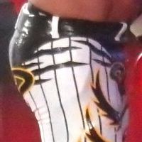 Tights, Falcons: Tribute, Hanshin Tigers