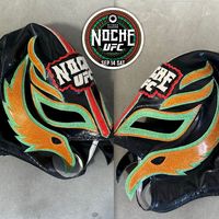 Mask: Noche UFC