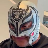 Mask: Las Vegas Raiders (Silver)