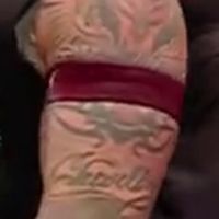 Pants, Logos: Brown