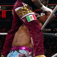 Pants, Logos: Brown