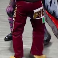 Pants, Logos: Brown