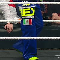 Pants, Logos: Blue