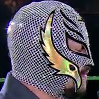 Mask: Fishnet