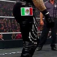 Tights, Falcons: Black w/ White