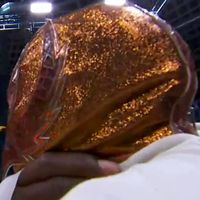 Mask: Gold w/ Croco
