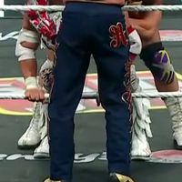 Pants, Gothic: Dark Blue w/ Red & Gold