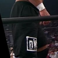 nWo shorts