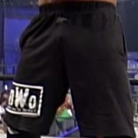 nWo shorts