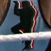TLC 2010