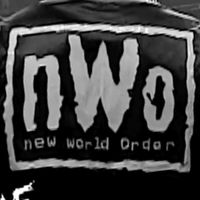 nWo Logo