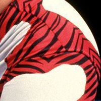 Patches: Red Zebra w/ White