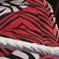Patches: Red Zebra w/ Zebra