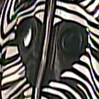 Zebra Sleeves