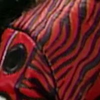 Zebra Sleeves (Red)