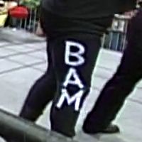 BAM (White v2)