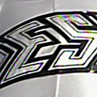 Logo (Silver)
