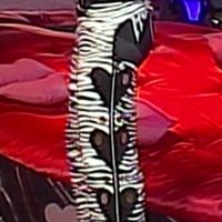 Zebra Sleeves