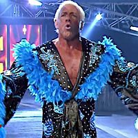 CrazyTights | Ric Flair (robes)